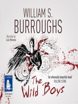 cover image of The Wild Boys